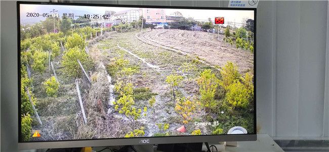 户外果园400万高清